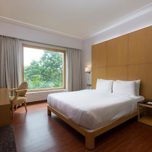 Chambre Supérieure Lit King-Size